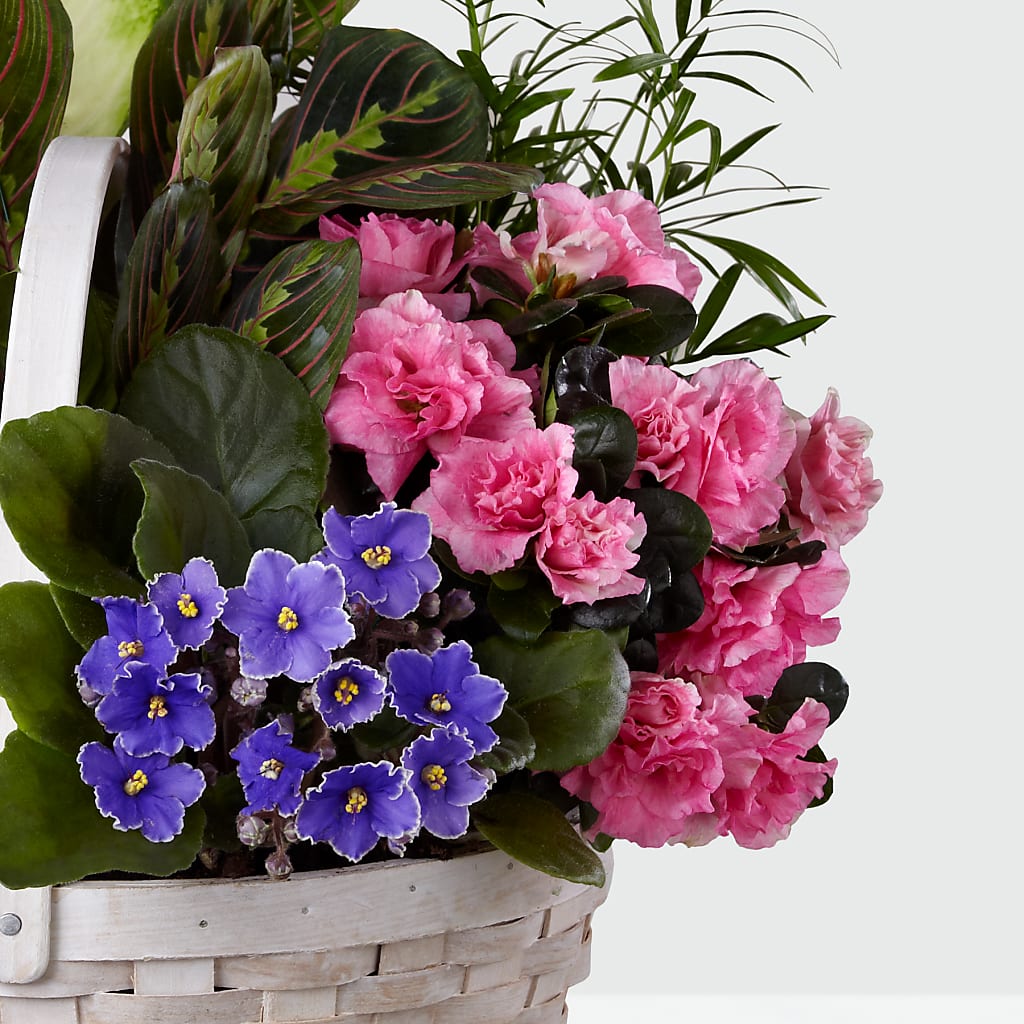 Peaceful Garden Planter – Raw Flowers, Kitchener ON