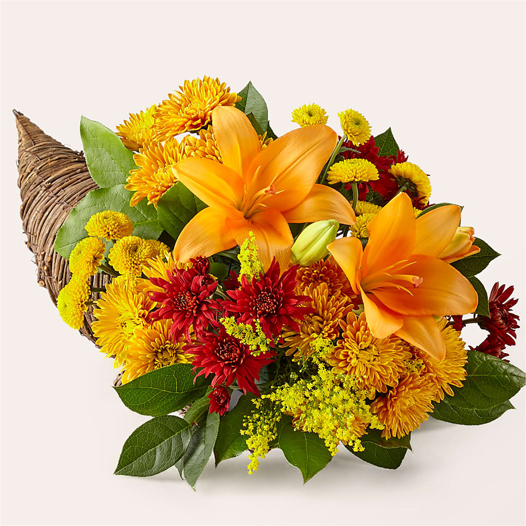 Feast of Color Cornucopia – Raw Flowers, Kitchener ON
