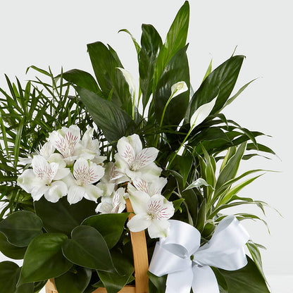 Peace & Serenity Dishgarden –  Raw Flowers, Kitchener ON