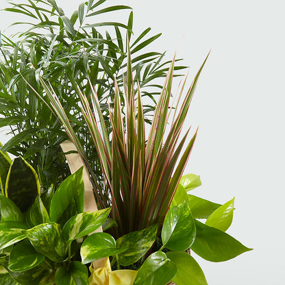 French Garden –  Raw Flowers, Kitchener ON