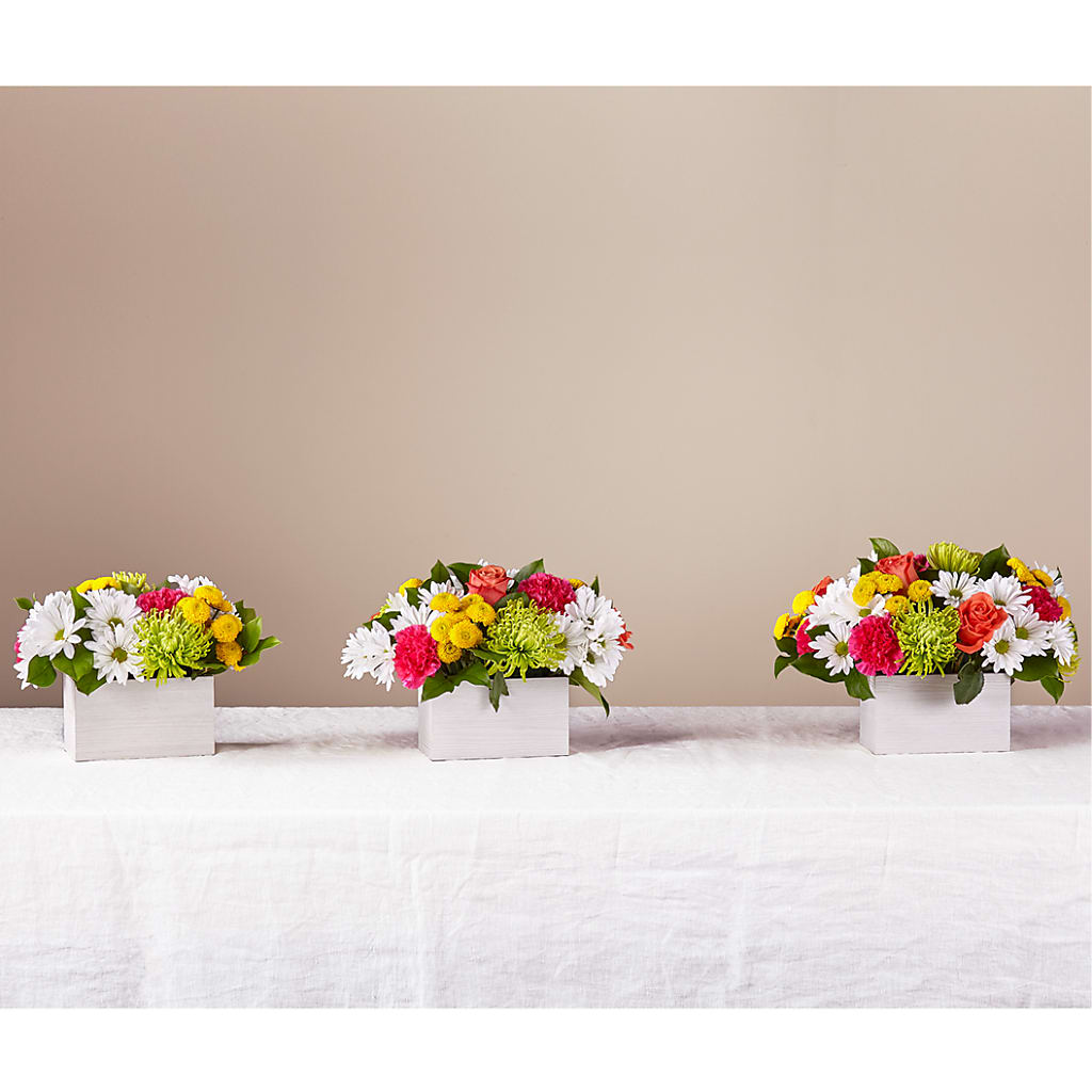 Sorbet Bouquet –  Raw Flowers, Kitchener ON