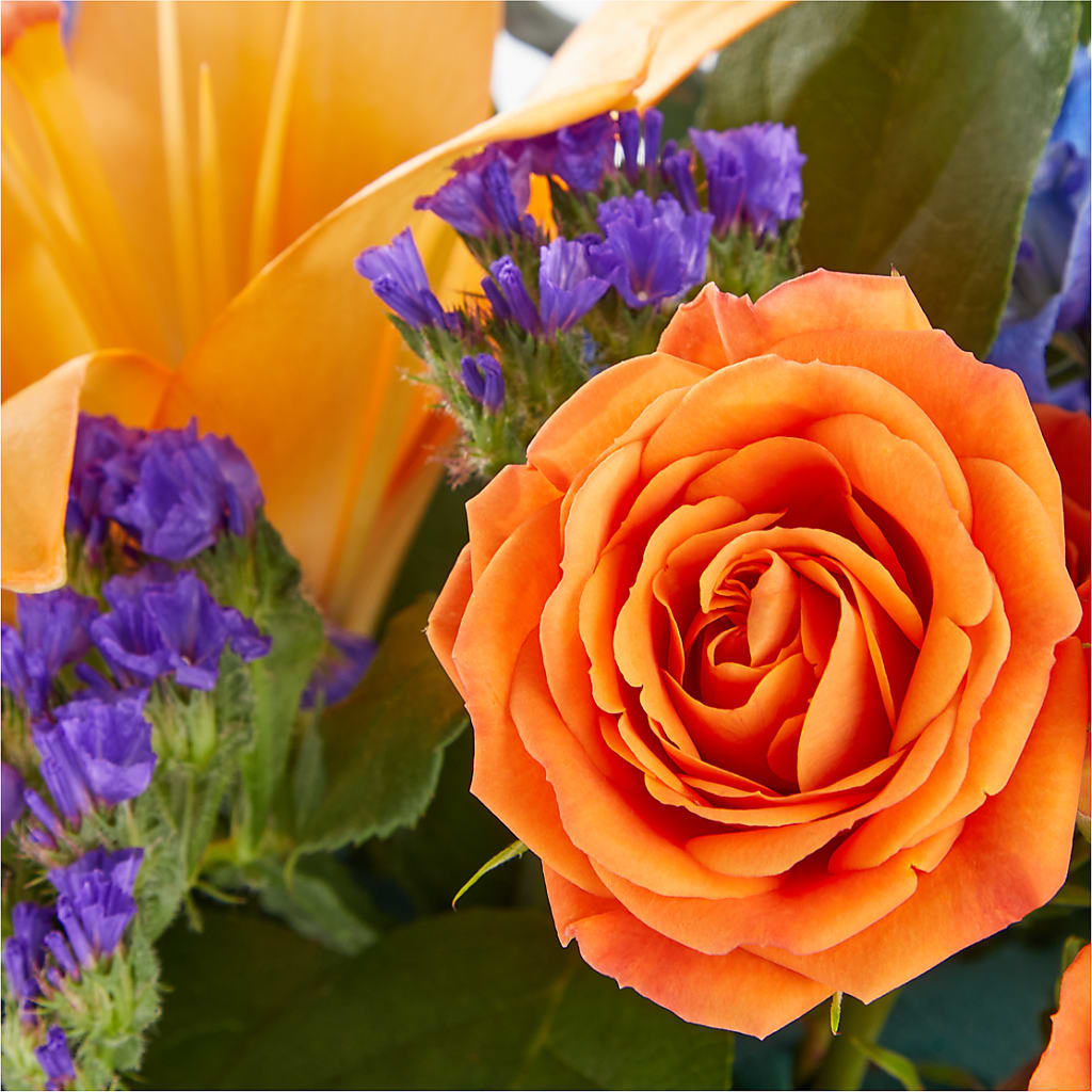 Radiant Citrus Box Bouquet –  Raw Flowers, Kitchener ON