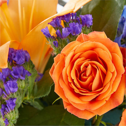 Radiant Citrus Box Bouquet –  Raw Flowers, Kitchener ON