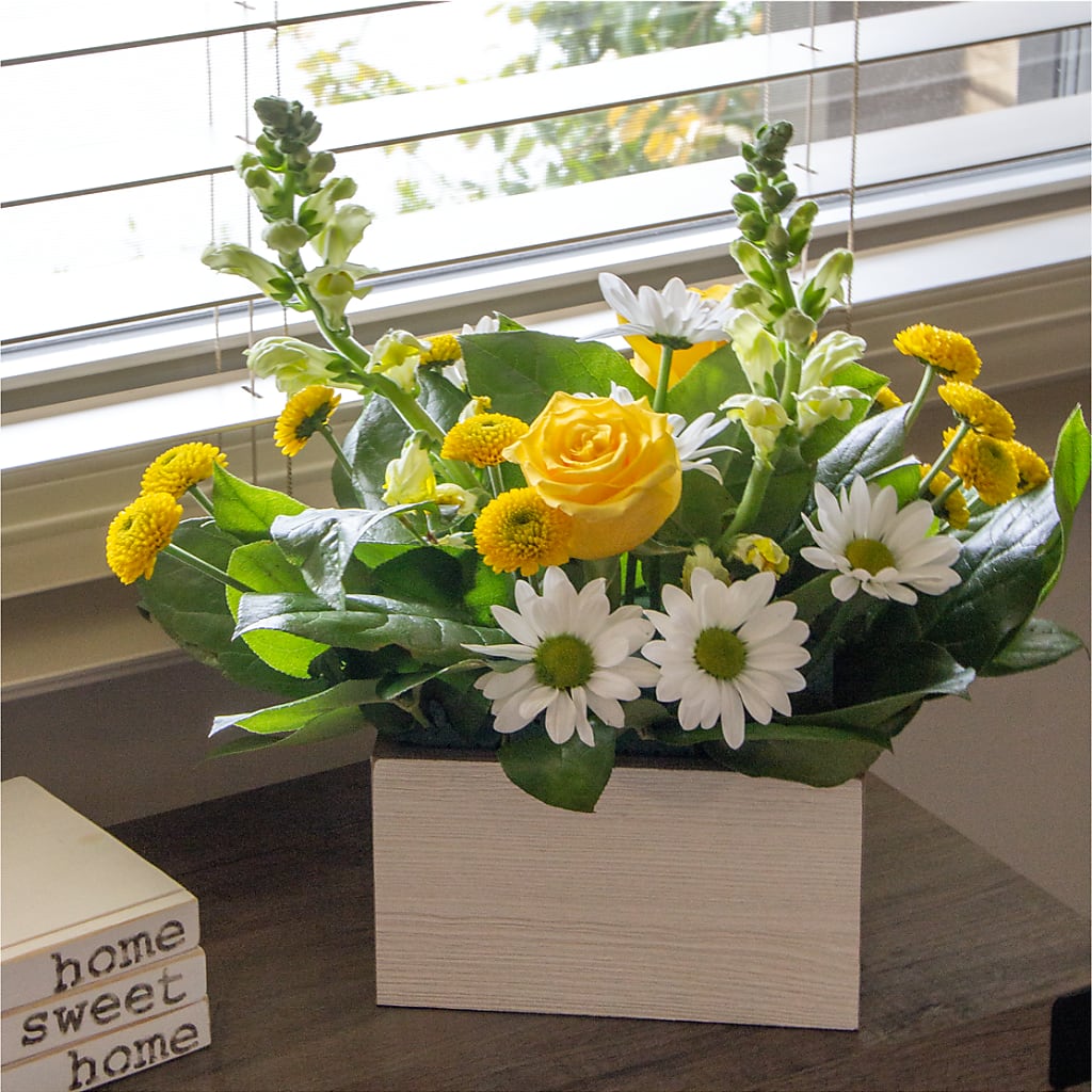 Sun Salutation Box Bouquet –  Raw Flowers, Kitchener ON