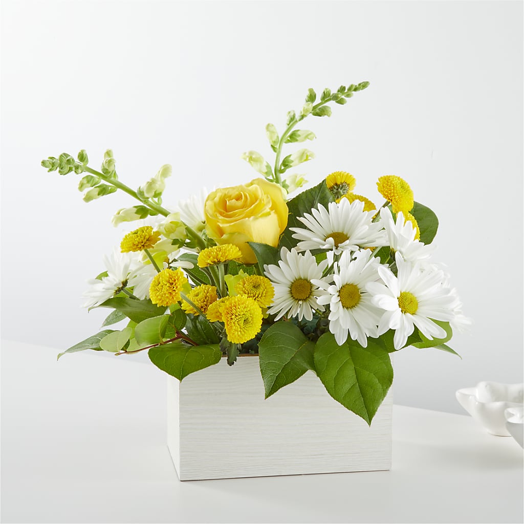 Bouquet en boîte Salutation au soleil