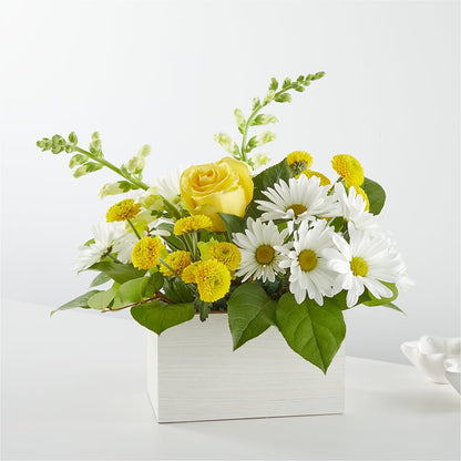 Bouquet en boîte Salutation au soleil