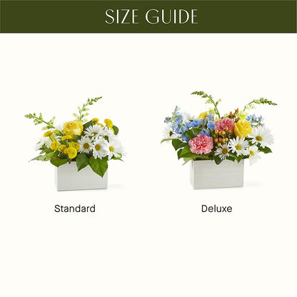 Sun Salutation Box Bouquet –  Raw Flowers, Kitchener ON
