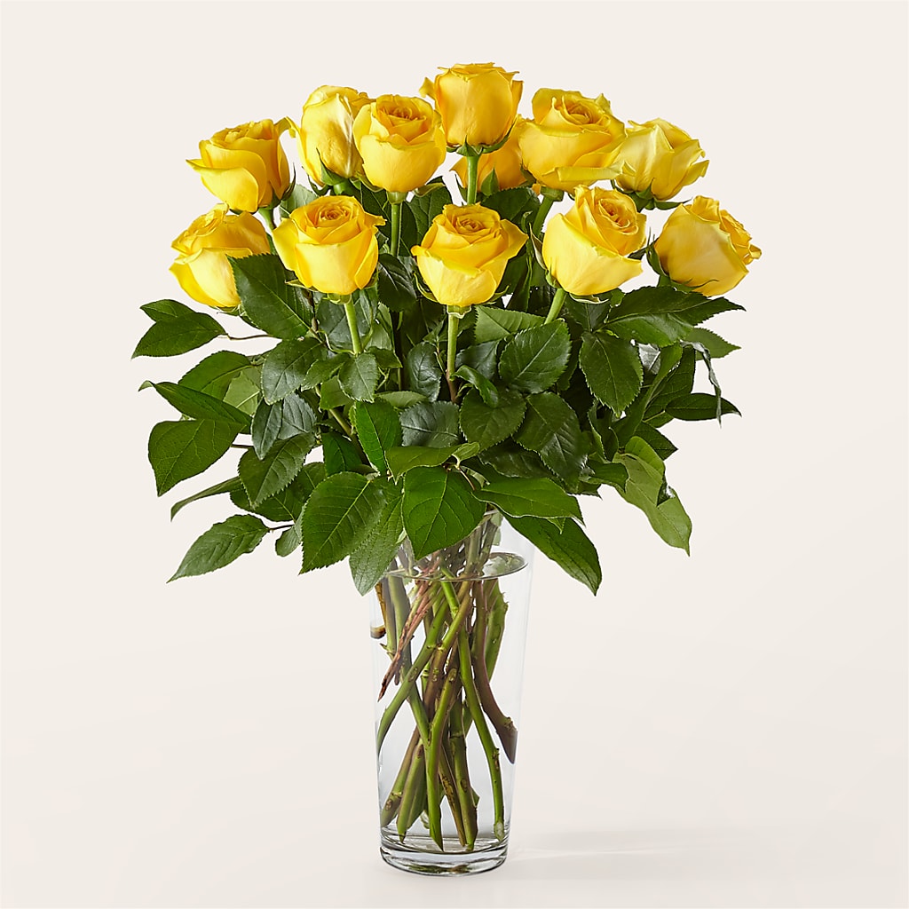 Long Stem Yellow Rose Bouquet –  Raw Flowers, Kitchener ON
