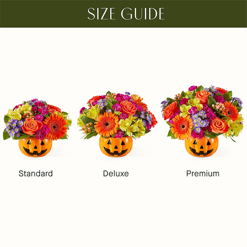 Tricks & Treats Pumpkin –  Raw Flowers, Kitchener ON