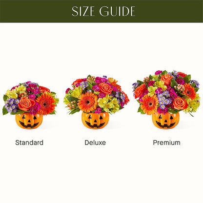 Tricks & Treats Pumpkin –  Raw Flowers, Kitchener ON