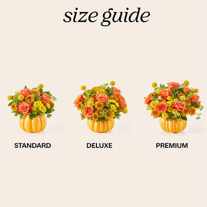 Gourdgeous Pumpkin –  Raw Flowers, Kitchener ON
