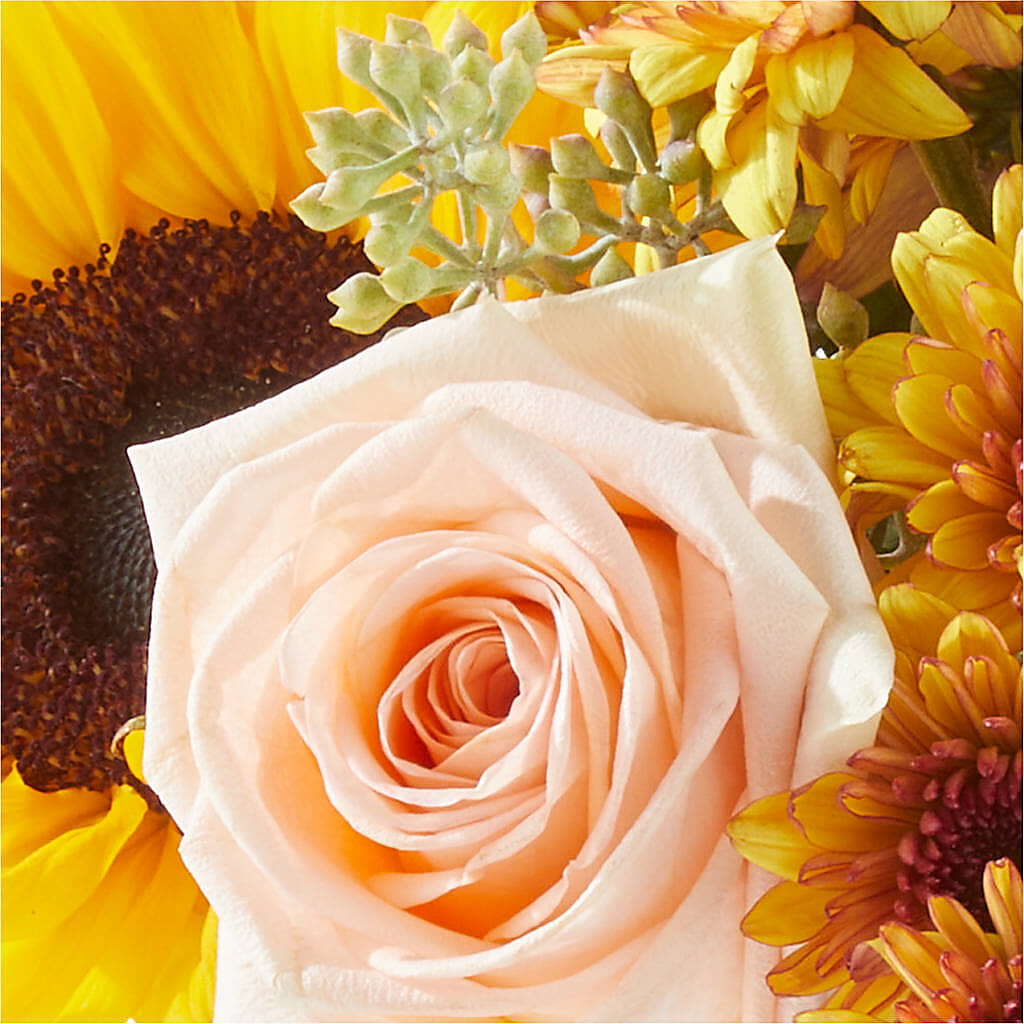 Pumpkin to Talk About Bouquet –  Raw Flowers, Kitchener ON