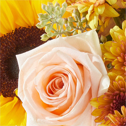Pumpkin to Talk About Bouquet –  Raw Flowers, Kitchener ON