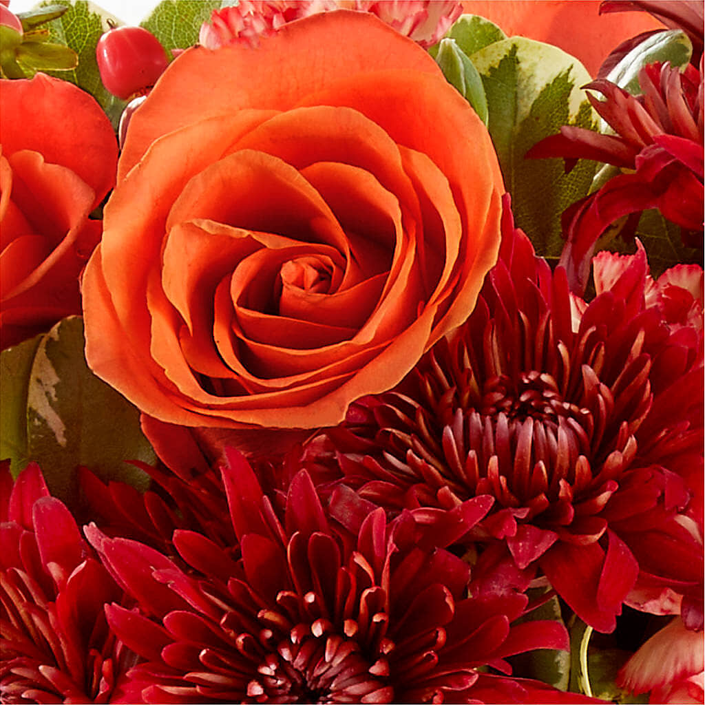 Autumn Air Pumpkin Bouquet –  Raw Flowers, Kitchener ON