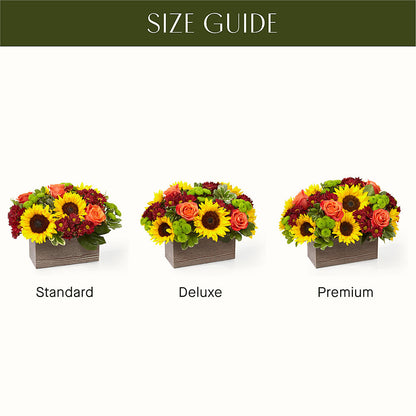 Happy Harvest Garden –  Raw Flowers, Kitchener ON