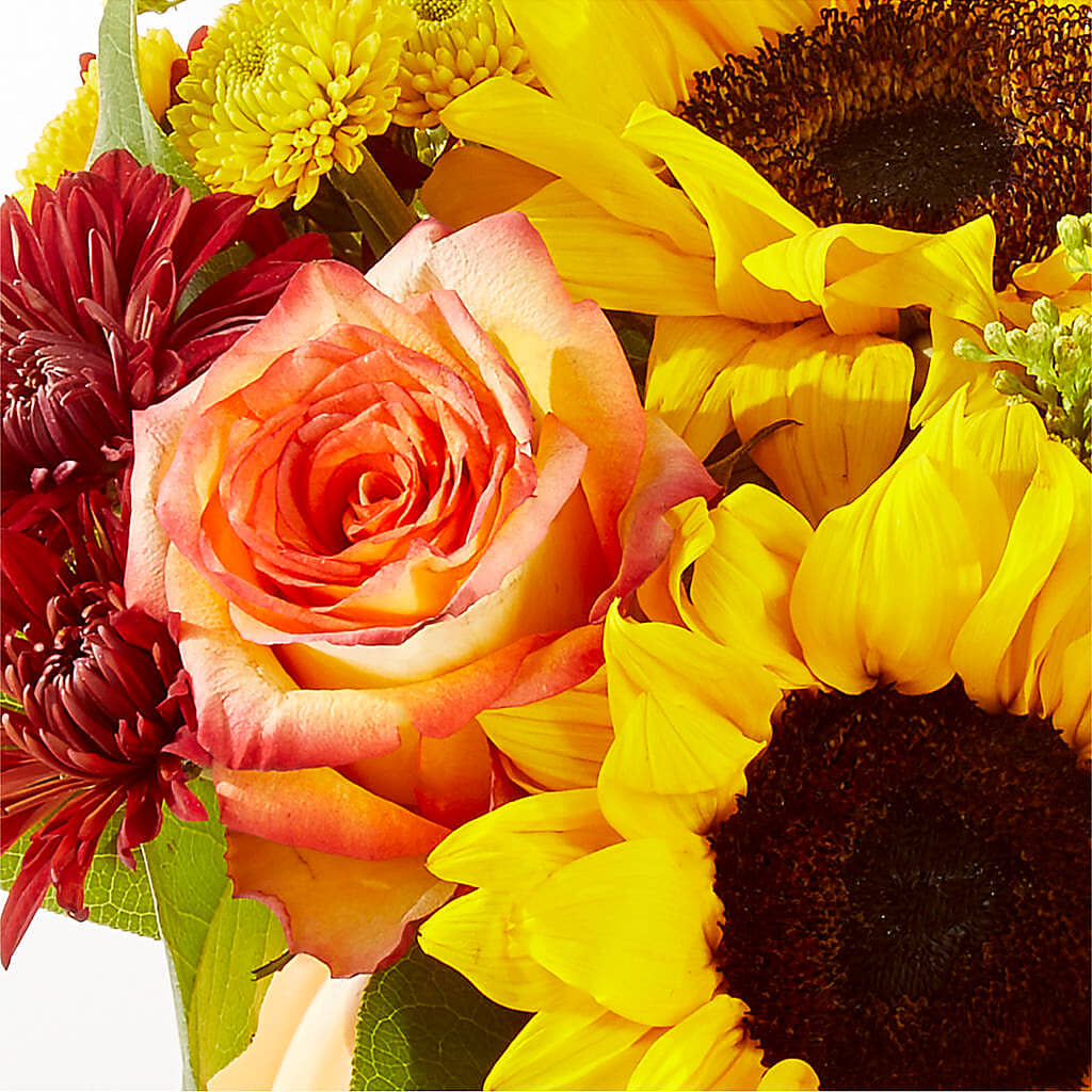 Golden Gourd Pumpkin Bouquet –  Raw Flowers, Kitchener ON