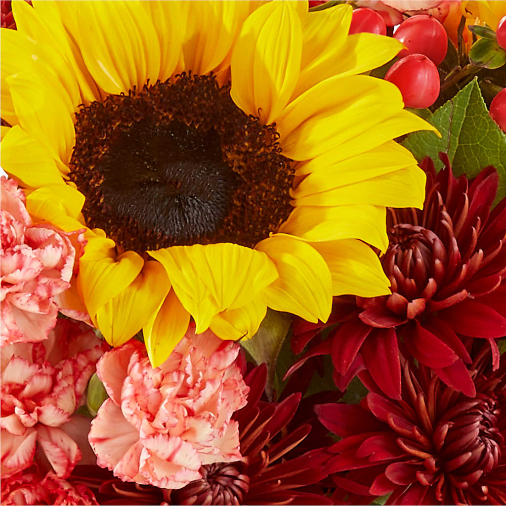 Fresh Cider Bouquet –  Raw Flowers, Kitchener ON