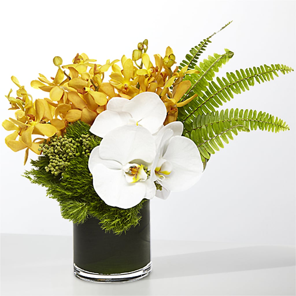 The Tropics –  Raw Flowers, Kitchener ON