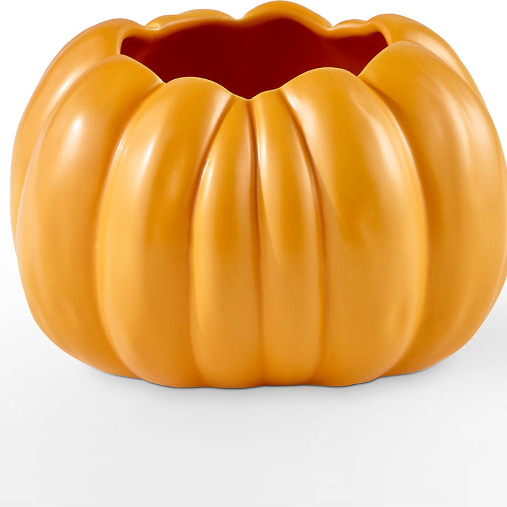 Golden Gourd Pumpkin Bouquet –  Raw Flowers, Kitchener ON