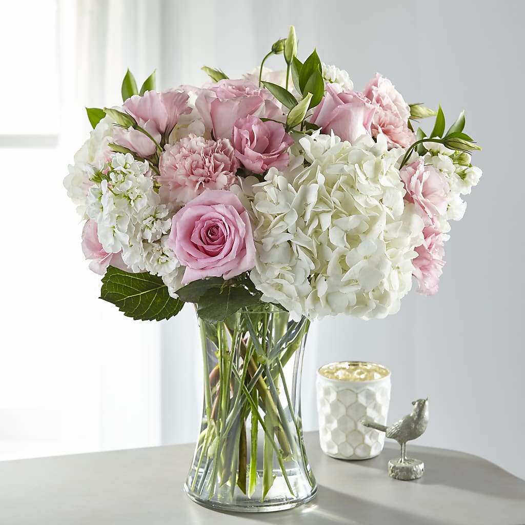 Ramo de Gracia Guía