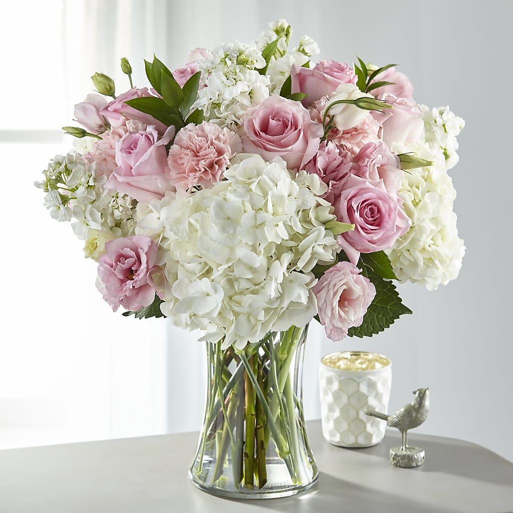 Ramo de Gracia Guía