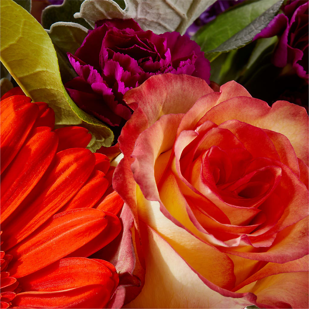 Sangria Bouquet –  Raw Flowers, Kitchener ON