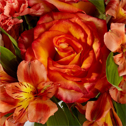 Apricot Glow Bouquet –  Raw Flowers, Kitchener ON