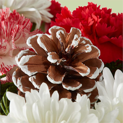 Candy Cane Lane Bouquet –  Raw Flowers, Kitchener ON