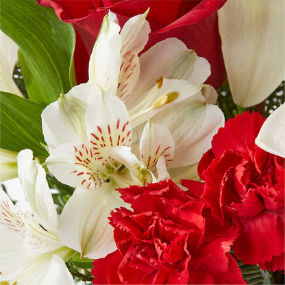 Holiday Season Bouquet –  Raw Flowers, Kitchener ON