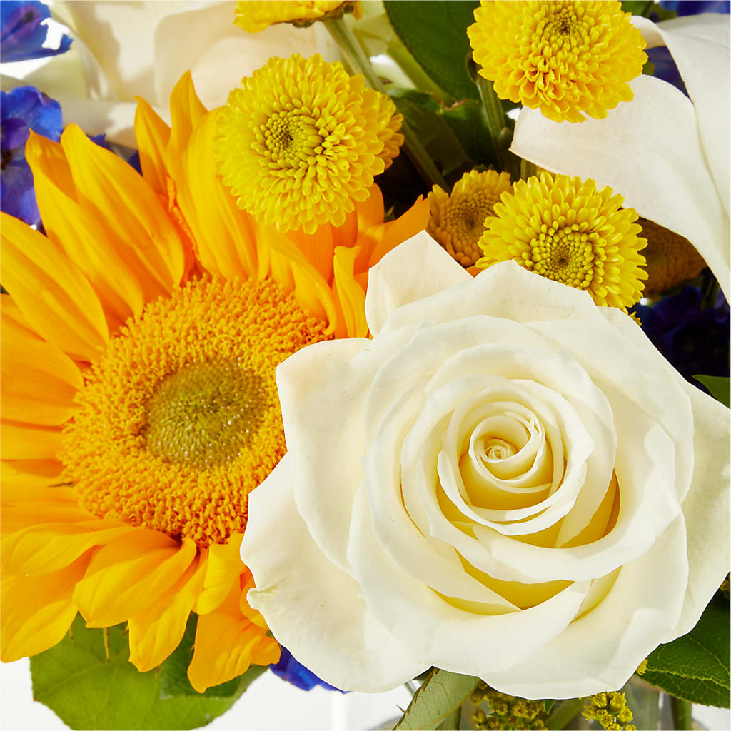 Stargazing Bouquet –  Raw Flowers, Kitchener ON