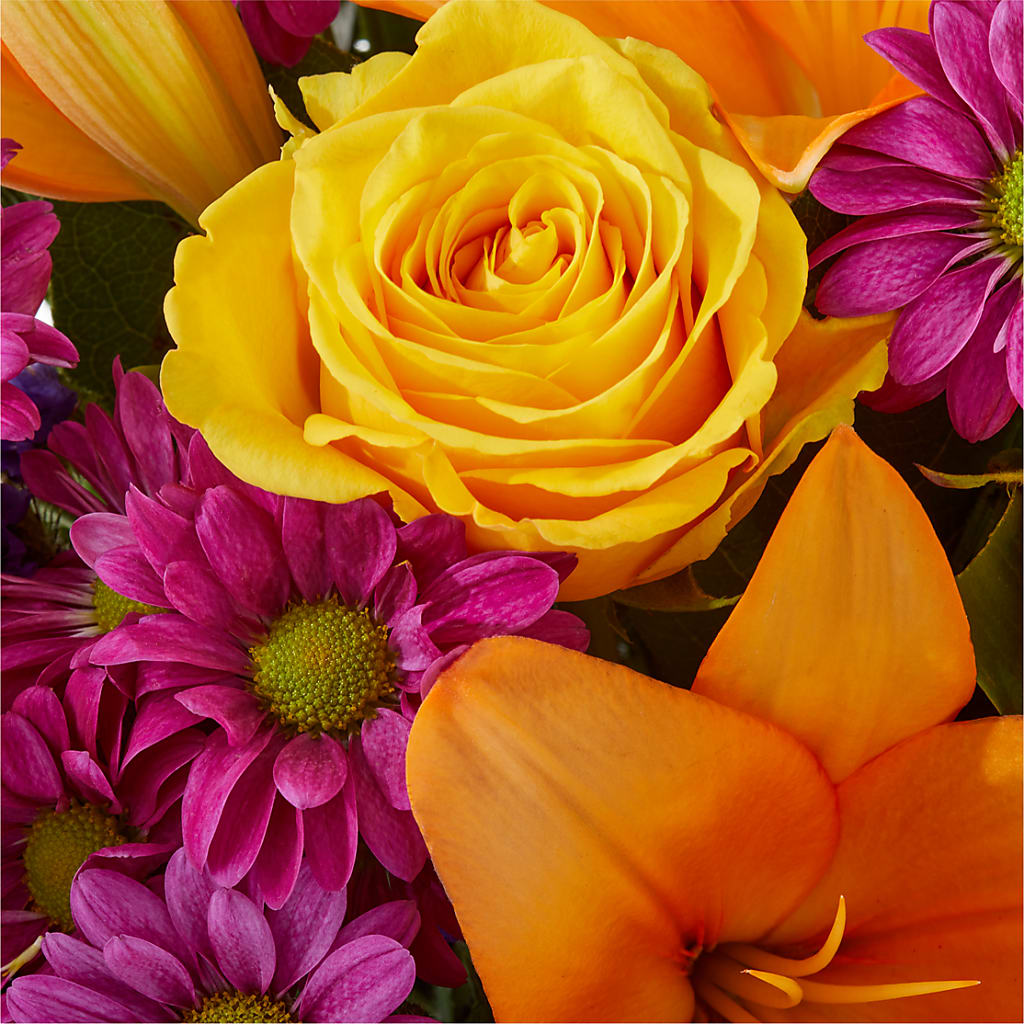 Colorful Visions Bouquet –  Raw Flowers, Kitchener ON