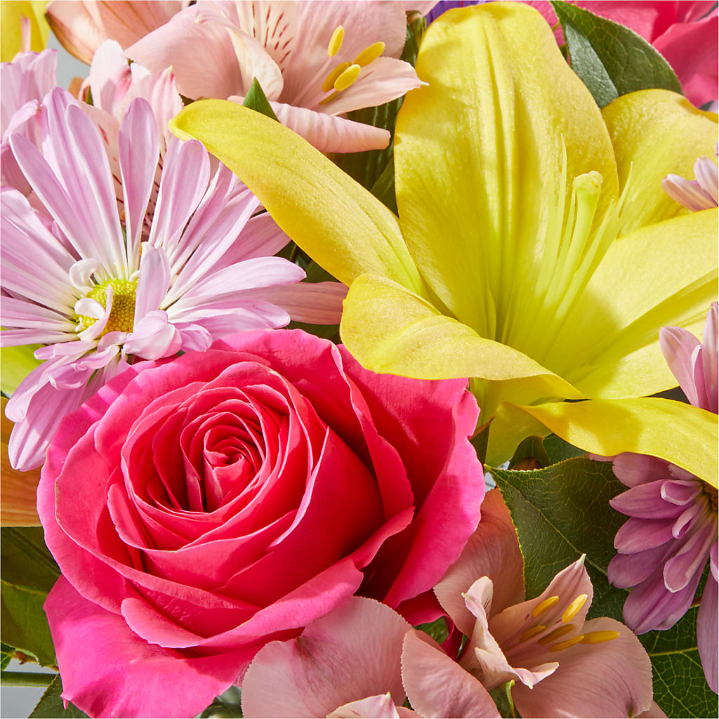 Sprinkles Bouquet –  Raw Flowers, Kitchener ON