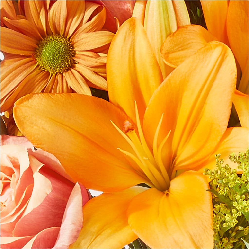 Harvest Hayride Bouquet –  Raw Flowers, Kitchener ON