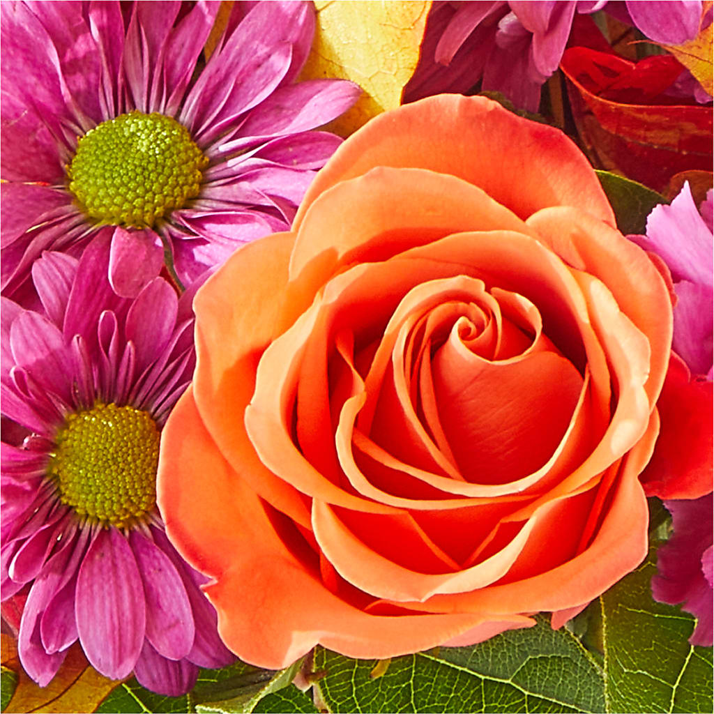 Mum's the Word Bouquet –  Raw Flowers, Kitchener ON