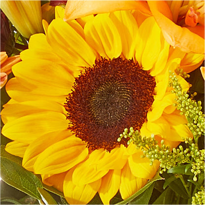 Seasons Change Bouquet –  Raw Flowers, Kitchener ON