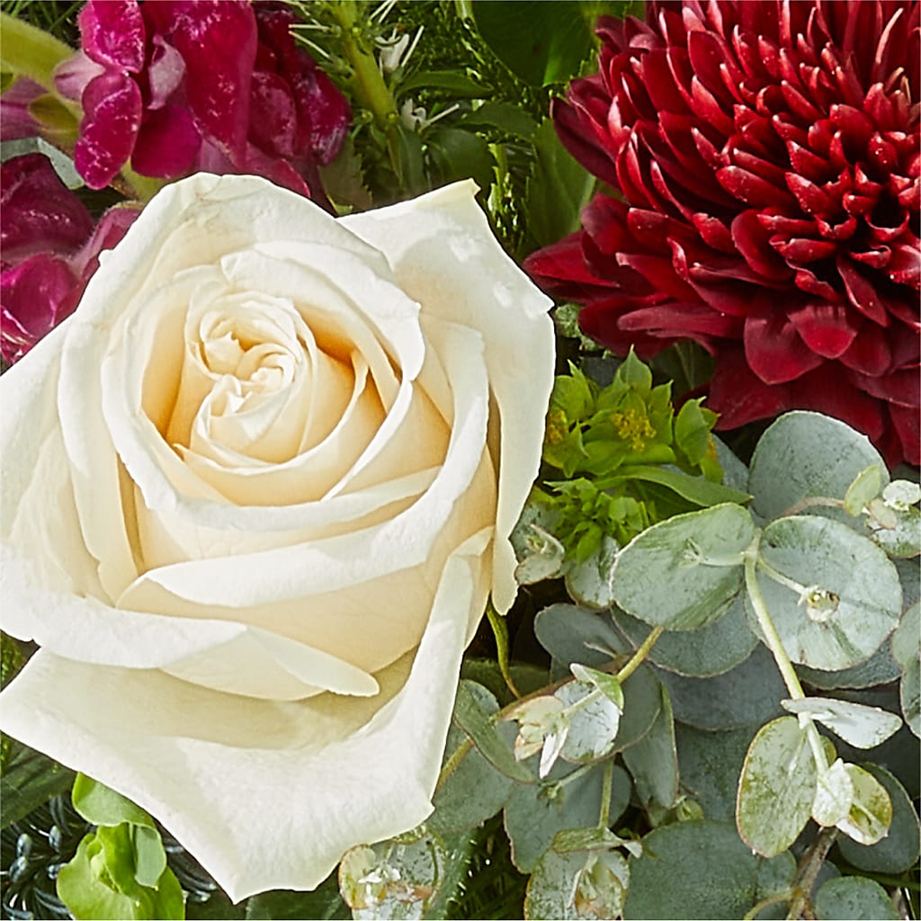 Cranberry Fizz Bouquet –  Raw Flowers, Kitchener ON