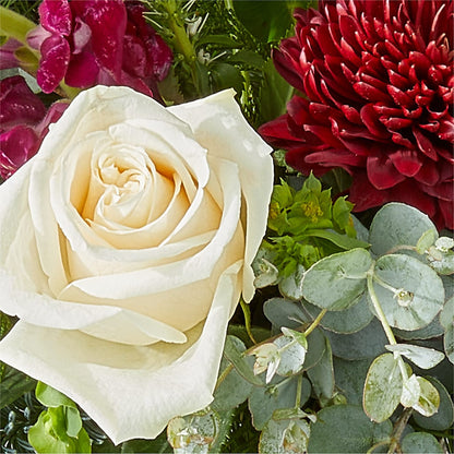 Cranberry Fizz Bouquet –  Raw Flowers, Kitchener ON