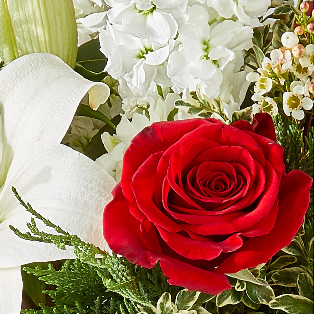 Twinkle Lights Bouquet –  Raw Flowers, Kitchener ON