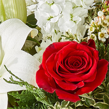 Twinkle Lights Bouquet –  Raw Flowers, Kitchener ON