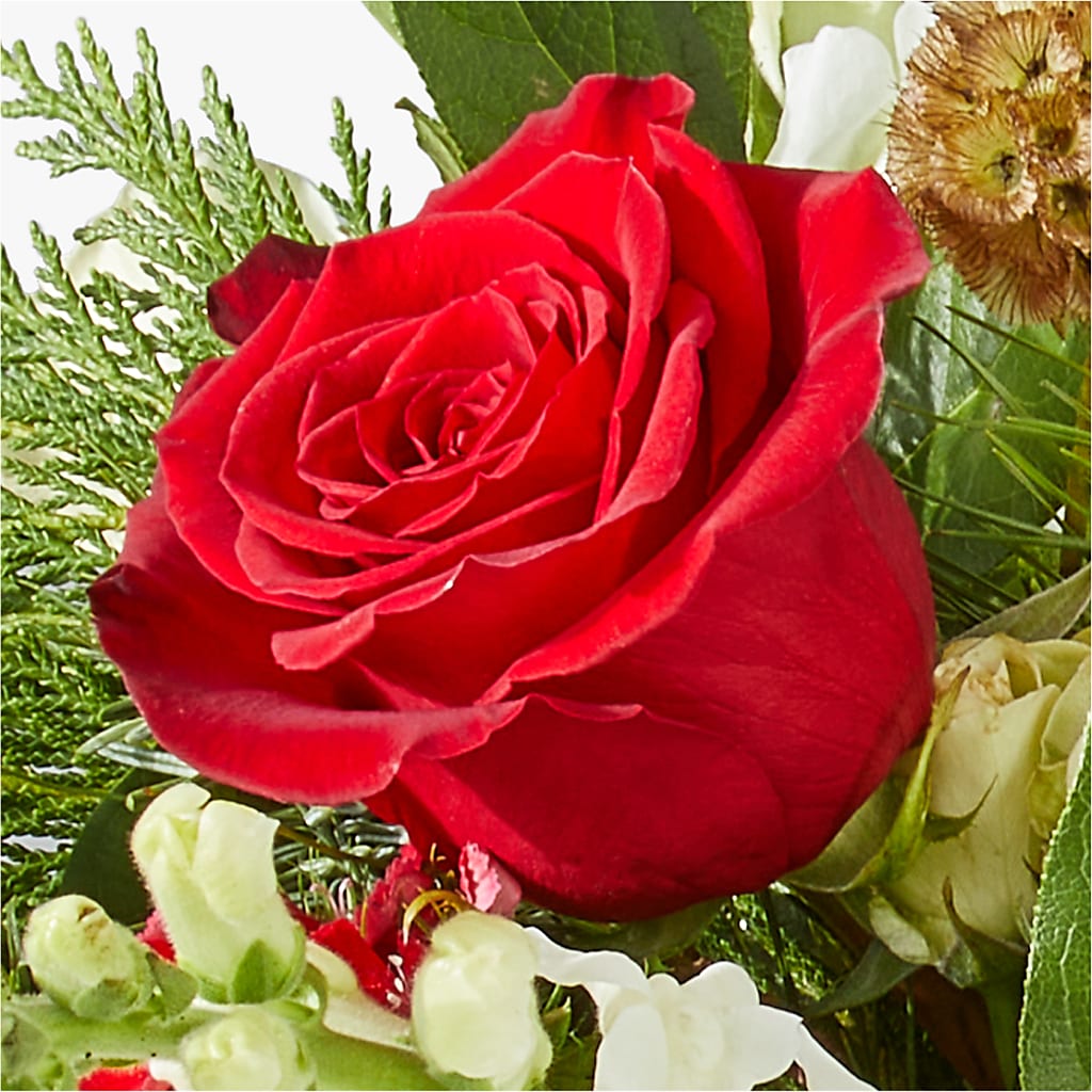 Deck the Halls Bouquet –  Raw Flowers, Kitchener ON