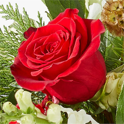 Deck the Halls Bouquet –  Raw Flowers, Kitchener ON
