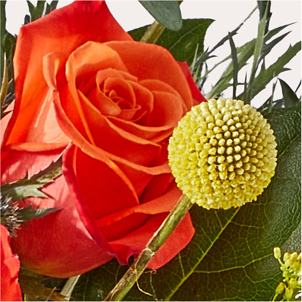 Disco Bouquet –  Raw Flowers, Kitchener ON