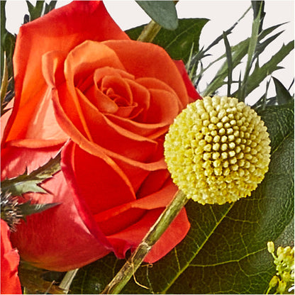 Disco Bouquet –  Raw Flowers, Kitchener ON