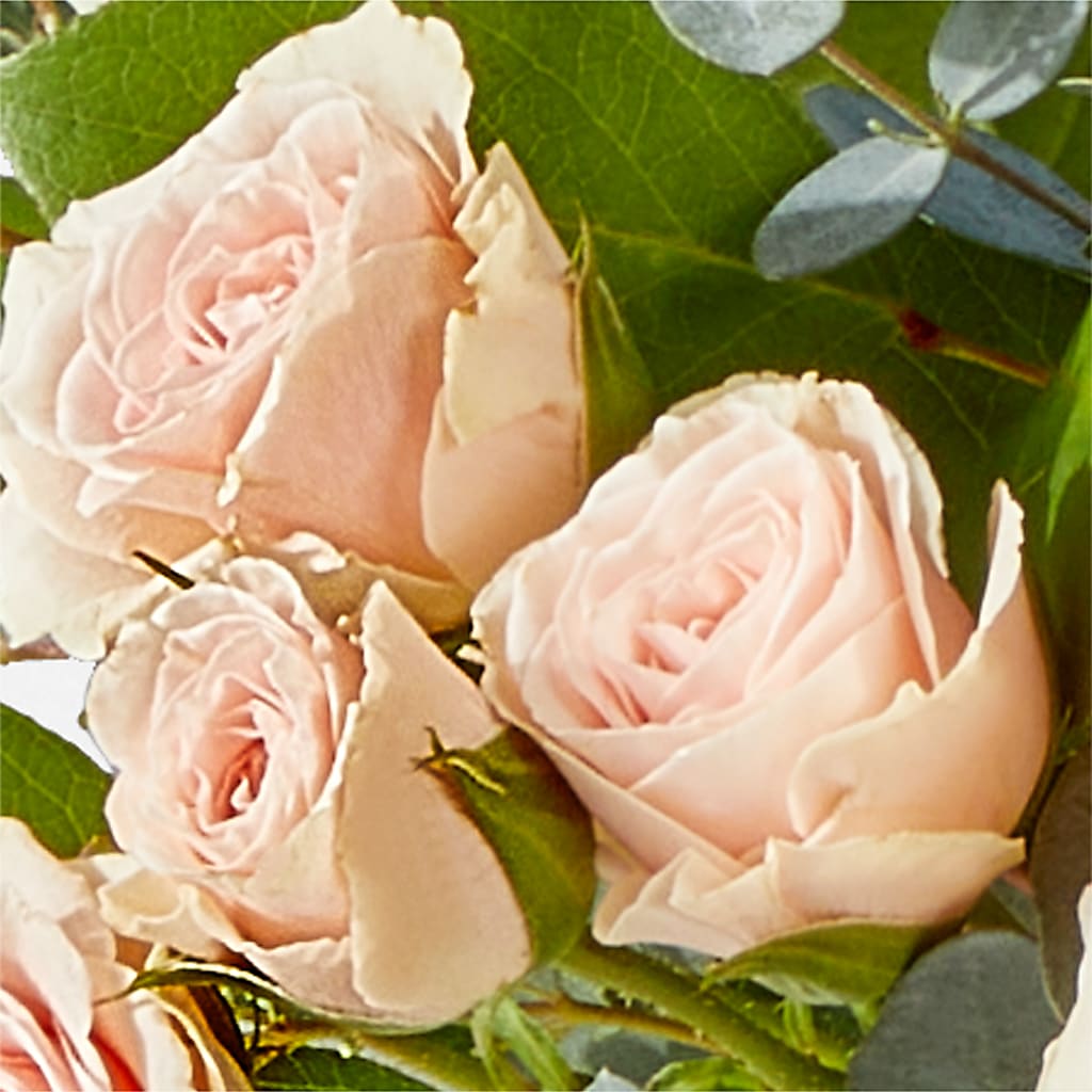 Inspired Bouquet –  Raw Flowers, Kitchener ON