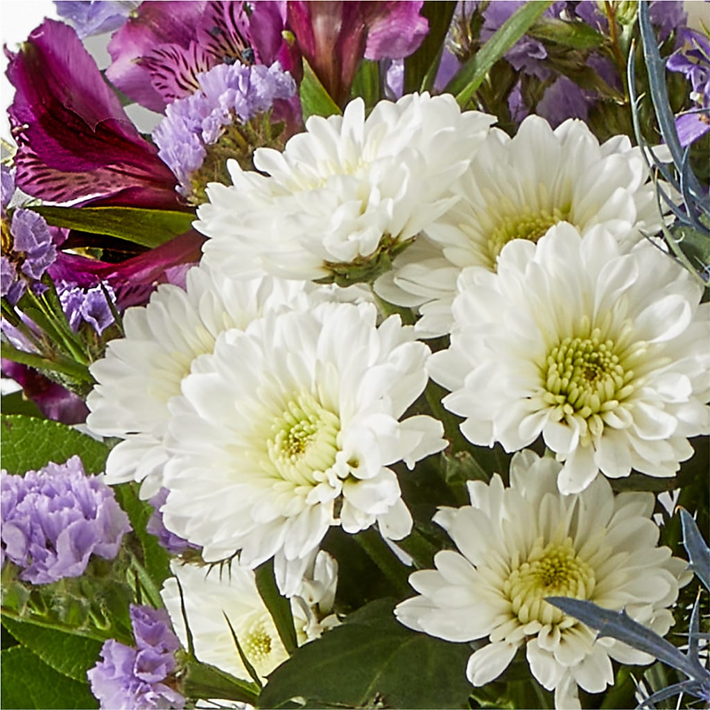 Shooting Star Bouquet –  Raw Flowers, Kitchener ON