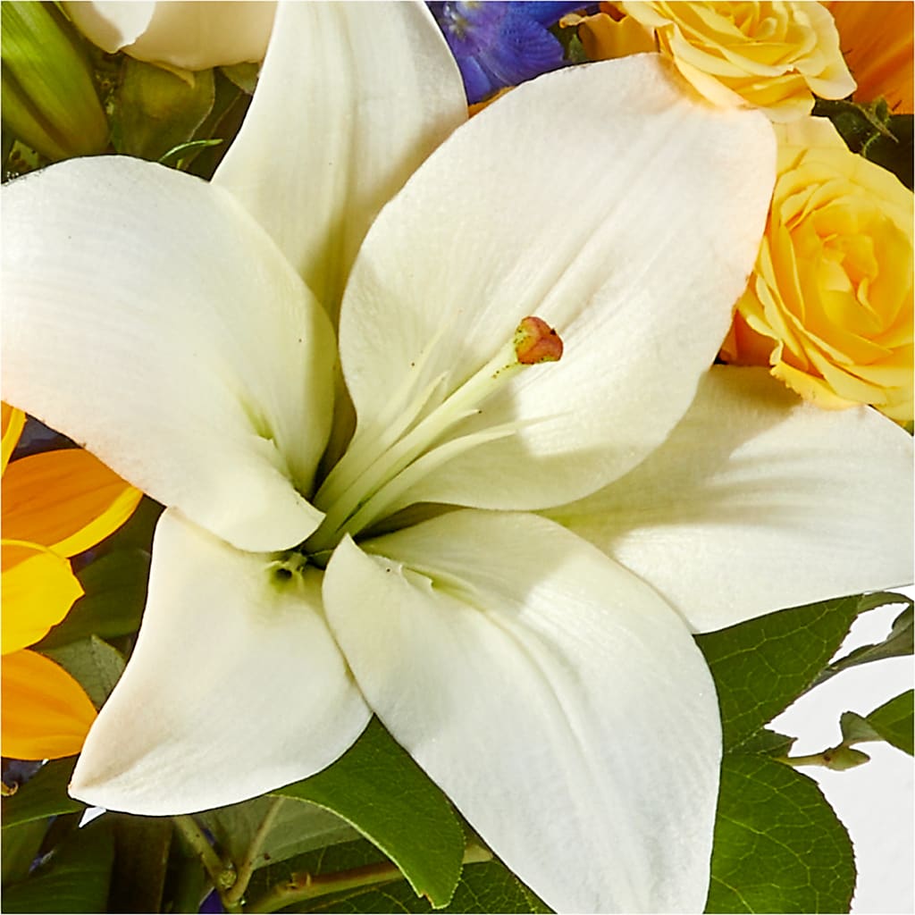 Wonderfully Sunny Bouquet –  Raw Flowers, Kitchener ON