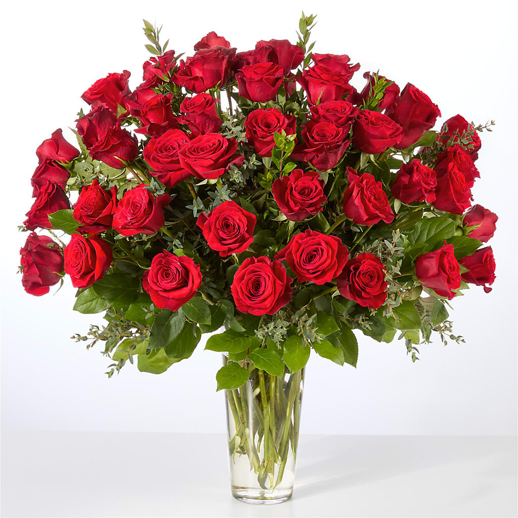 Forever Yours Fifty Stem Red Rose Bouquet –  Raw Flowers, Kitchener ON